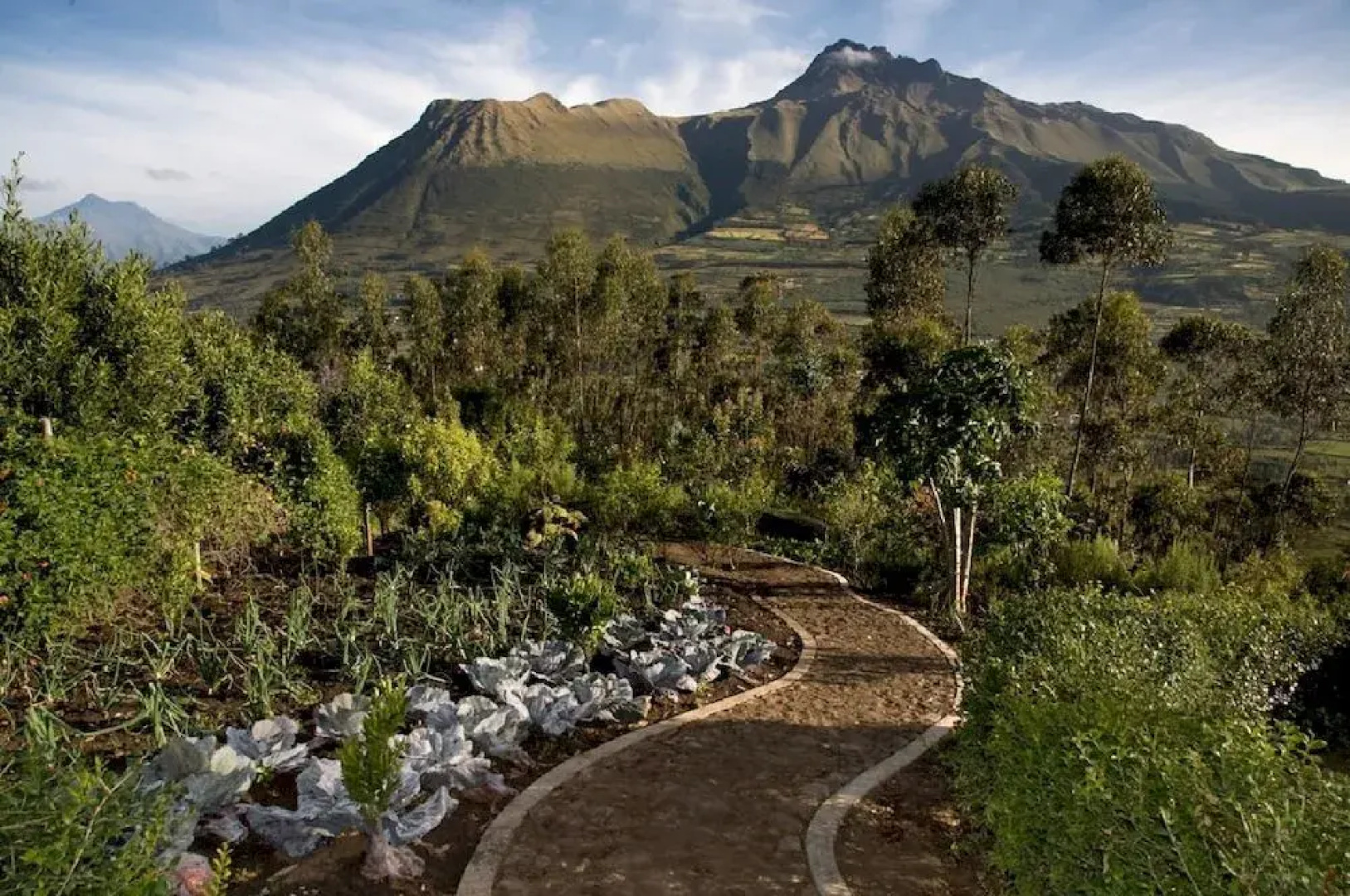 My SachaJi Wellness Ecolodge