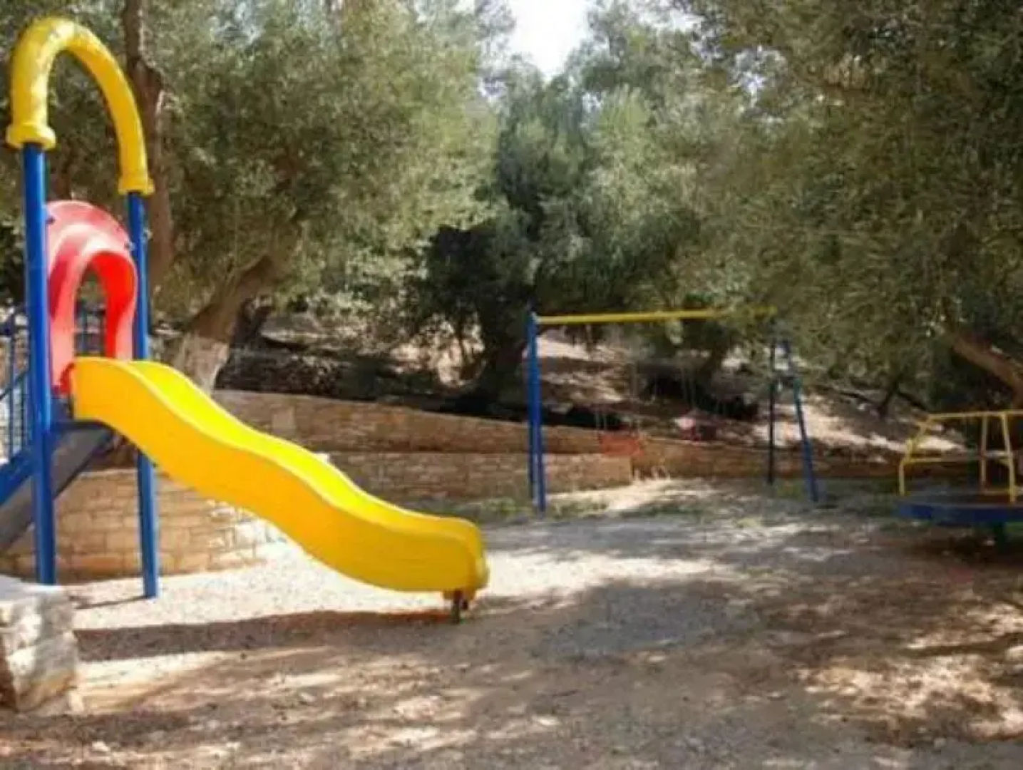 Olive Grove