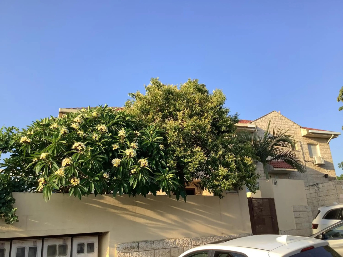 וילה נוף הרים שלומי