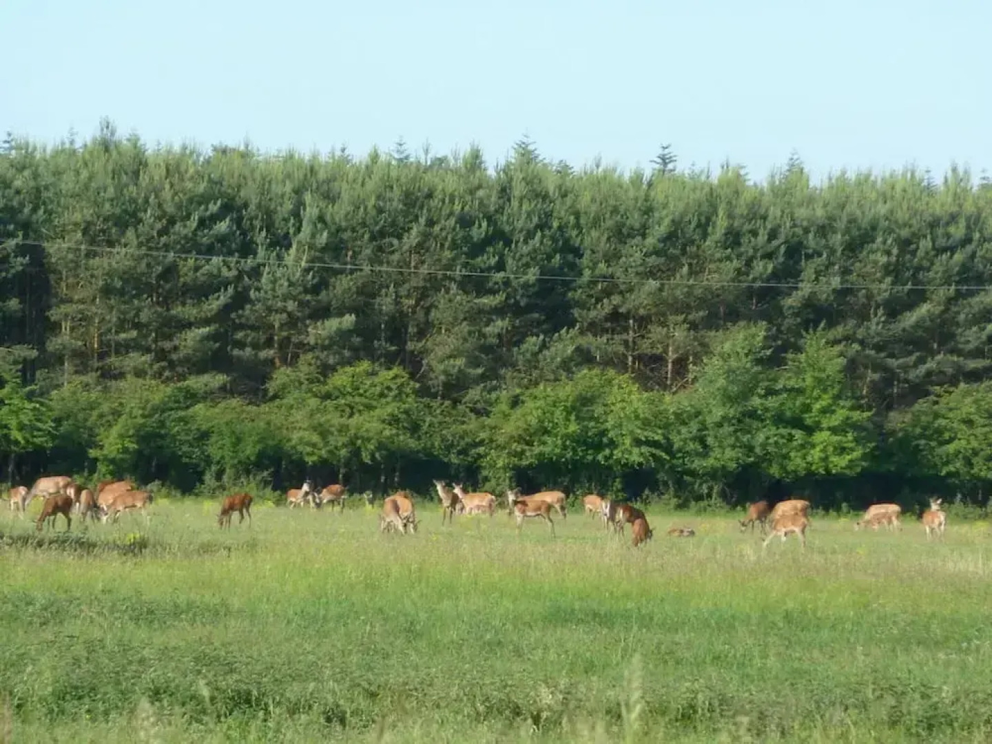 The Fischerhaus on Lake Malkwitzer See
