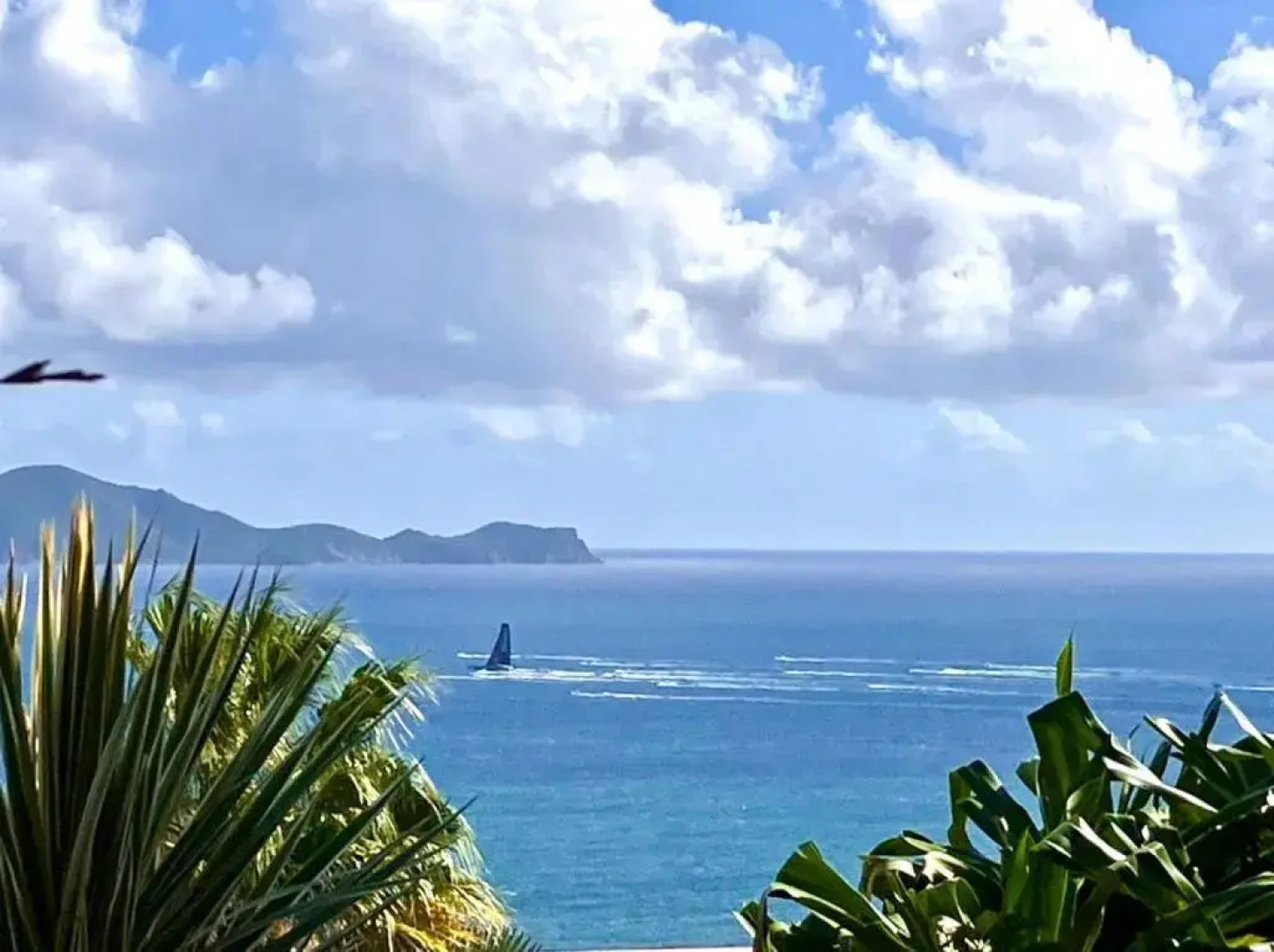 L'arbre Aux Papillons, Marina de Rivieres-Sens