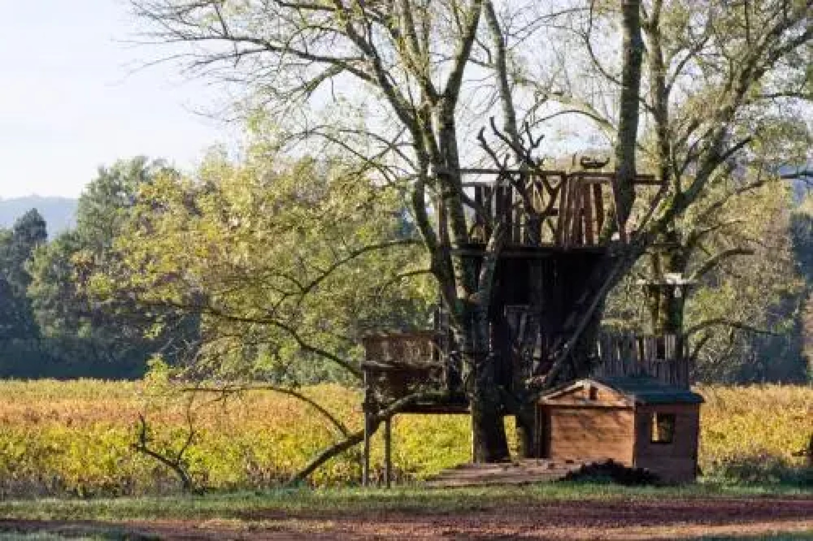 Chateau de Saint Martin