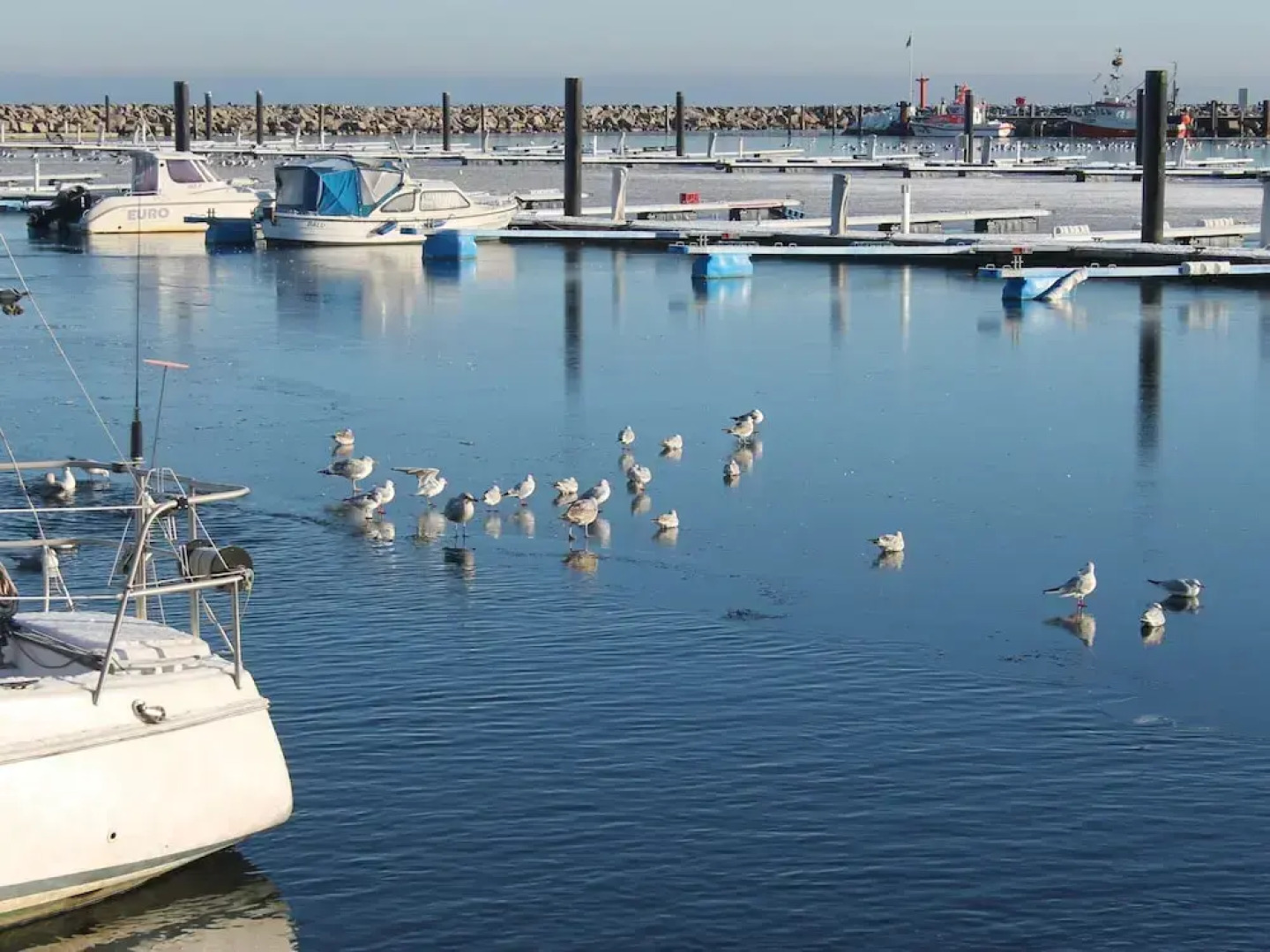 Modern Apartment in Wittenbeck With Terrace, Fenced Garden