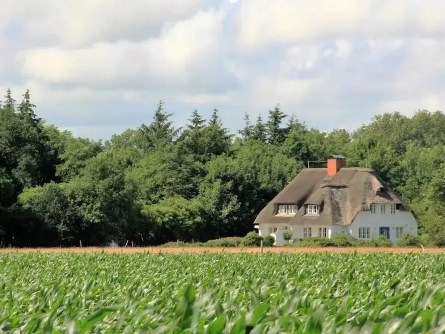 Westerheide Modern Retreat