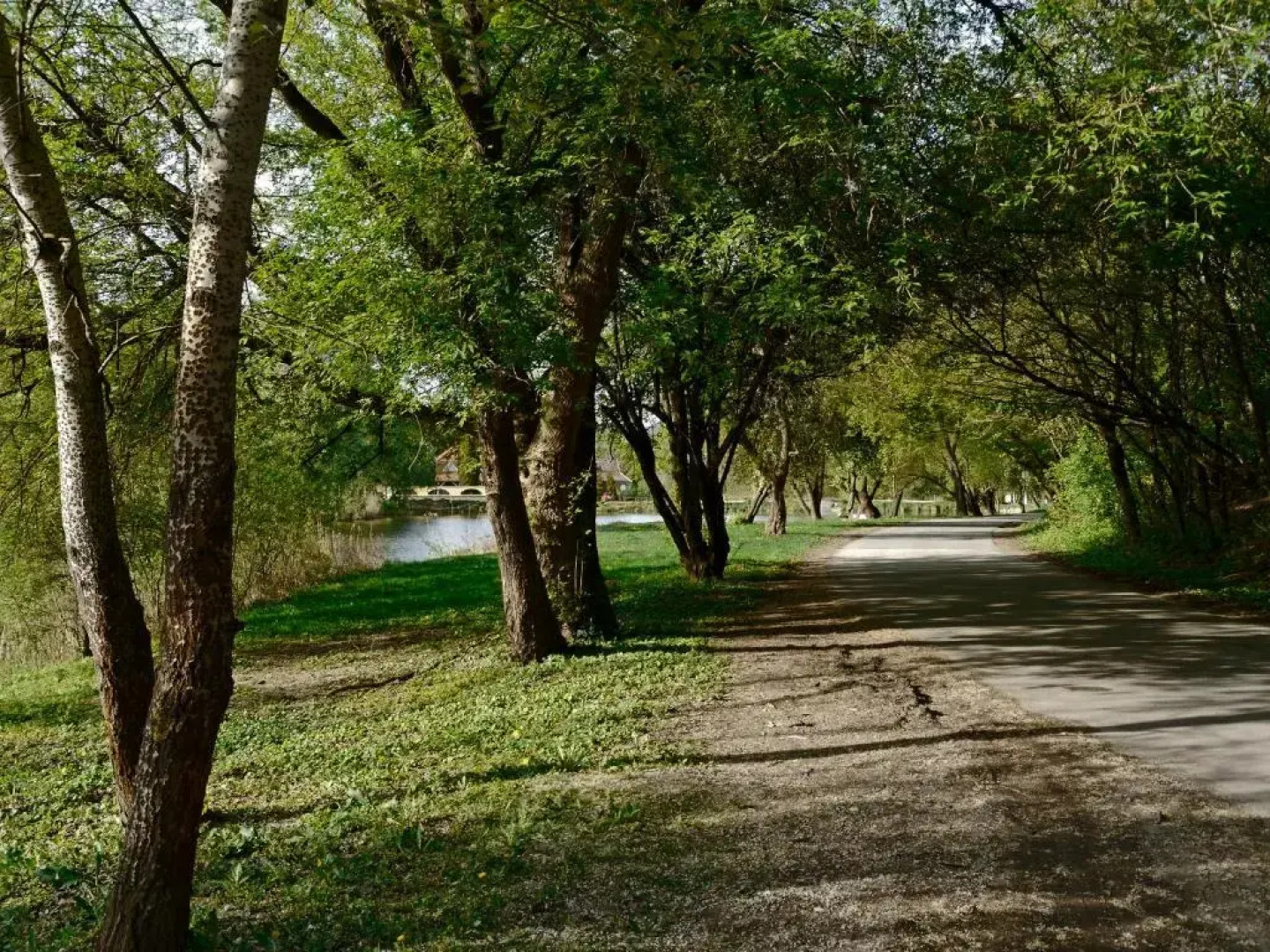 Szarvaskő Nyaraló/ Deer Rock Cottage