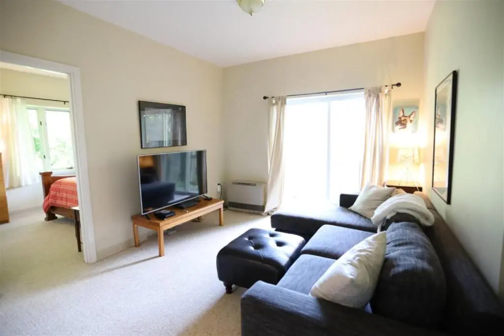 Weetamoo Trail 50, Waterville Estates