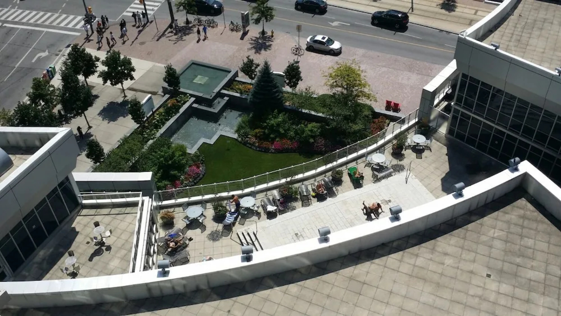 Pelican on the Harbour