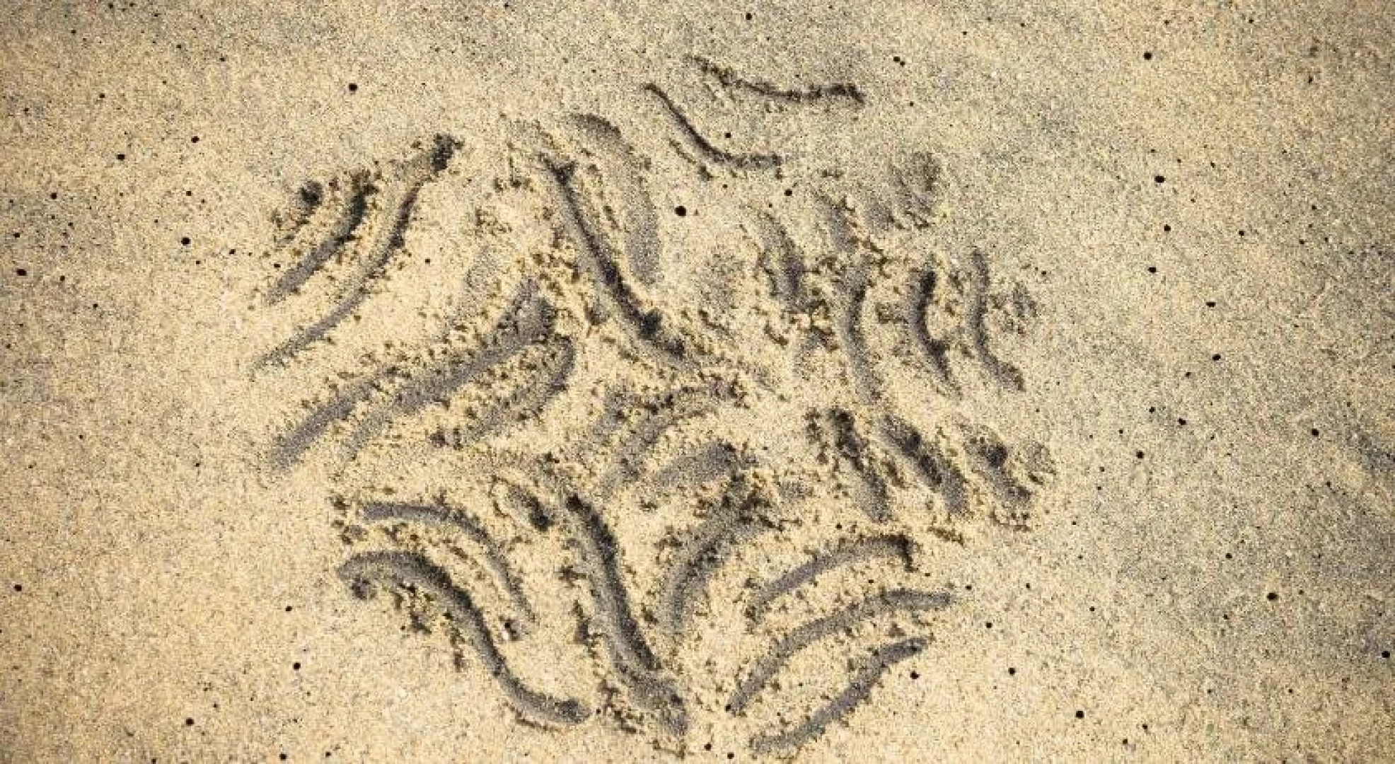 Hotel Estrella de Mar