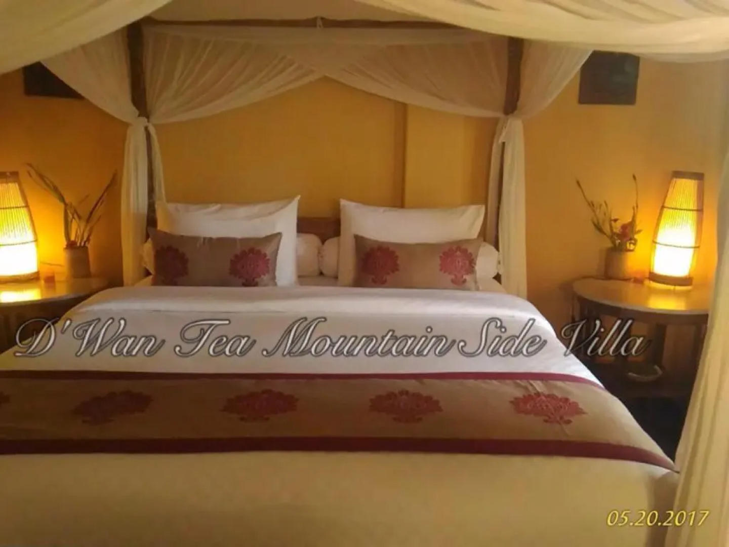 D'wan Tea Mountain Side