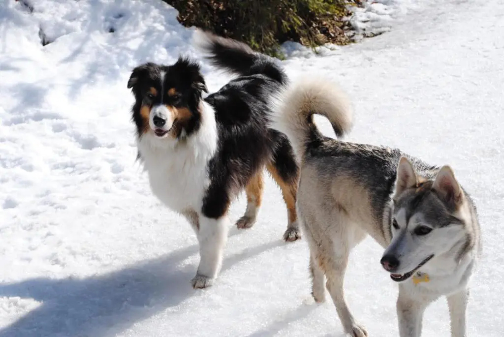 Gästehaus Katharina