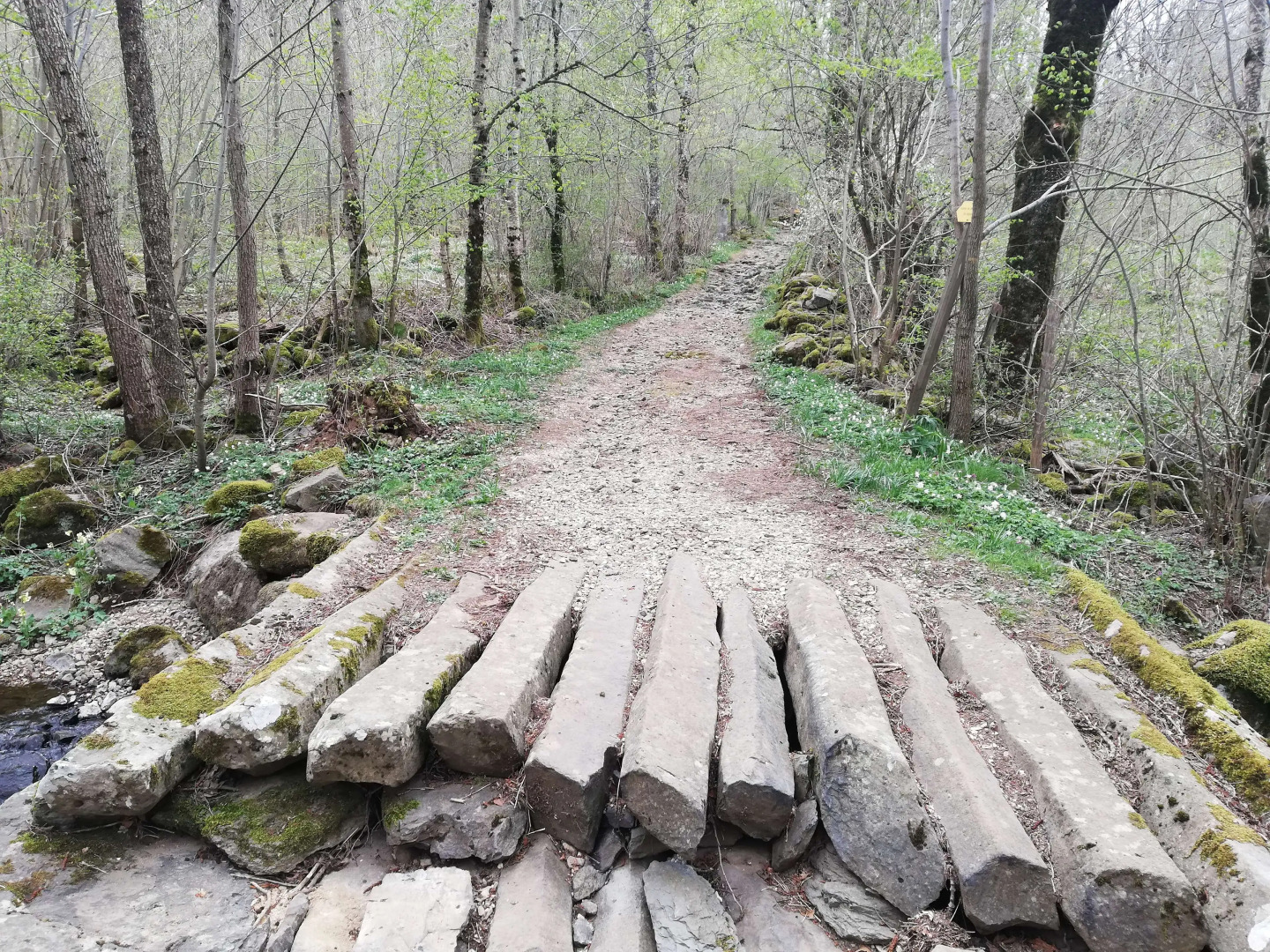 Best Western Le Relais de Laguiole Hotel & Spa