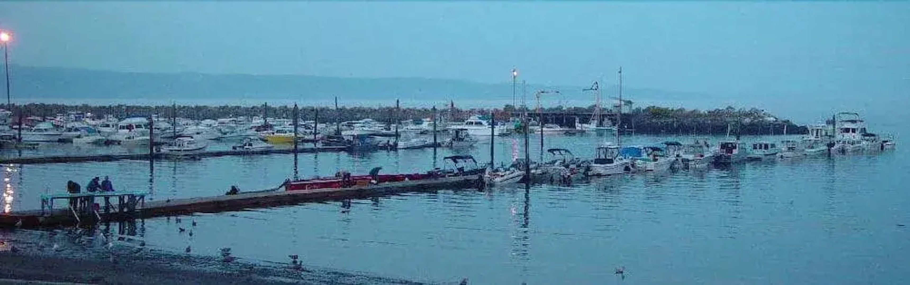 Curley's Resort & Dive Center