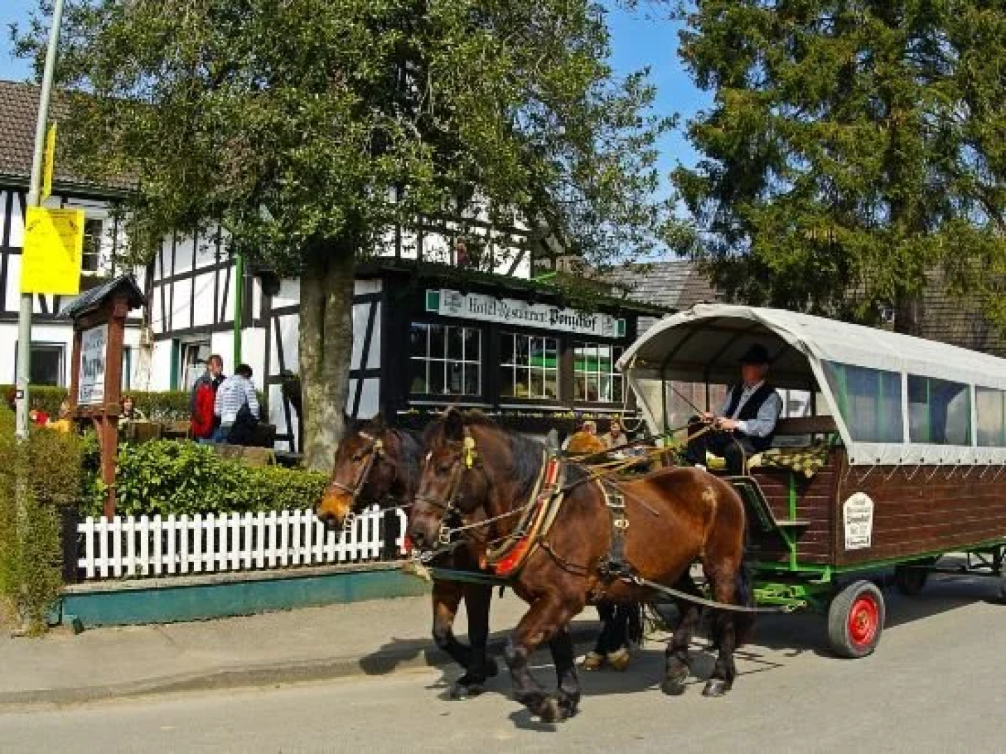 Ponyhof Knotte