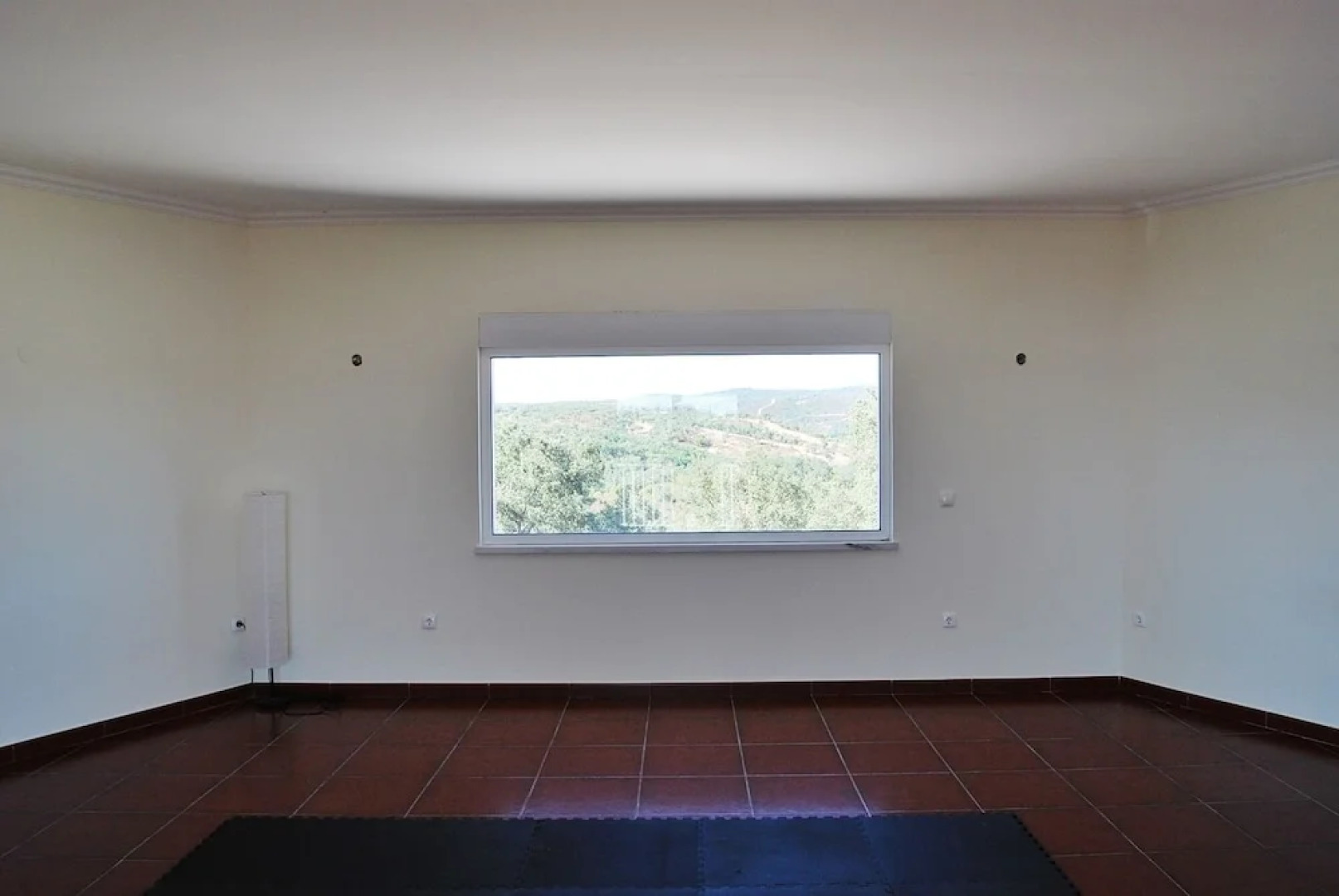 Buddha Peaceful Oasis