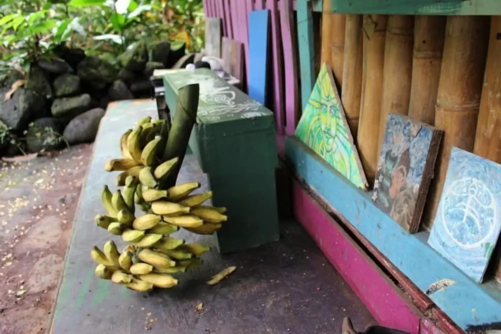 Cinderland EcoVillage - Hostel