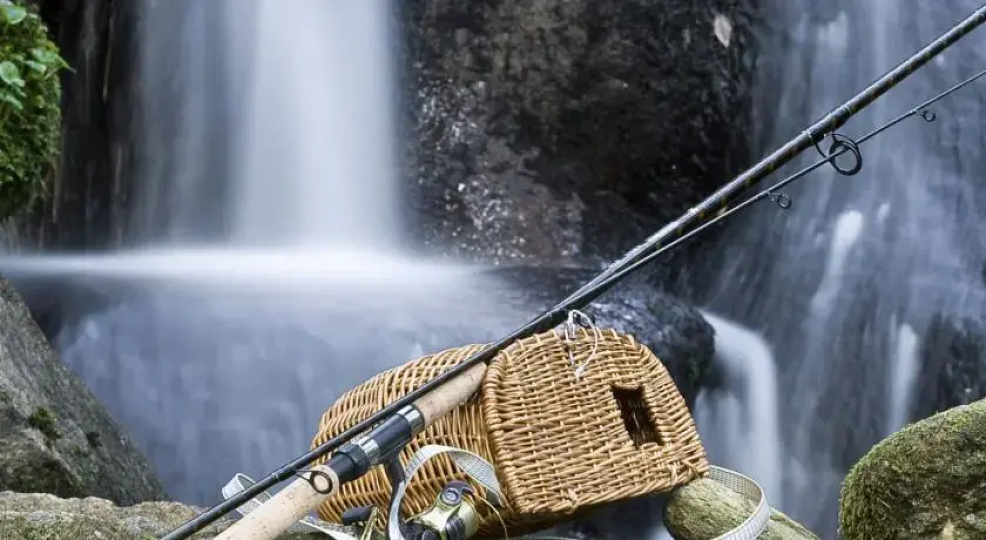 Quinta Do Engenho - Eco Parque