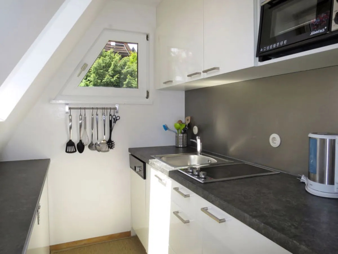 House Svea Illmensee