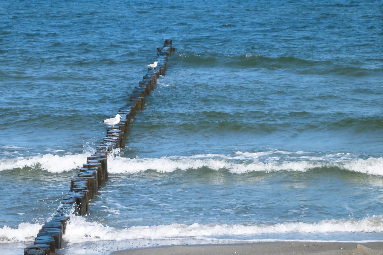 Apartment in Boltenhagen with balcony / terrace