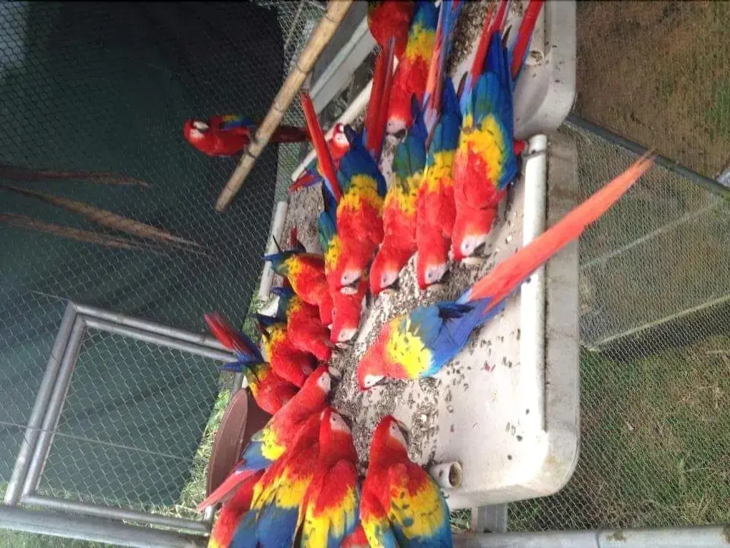 Cabañas el Porvenir