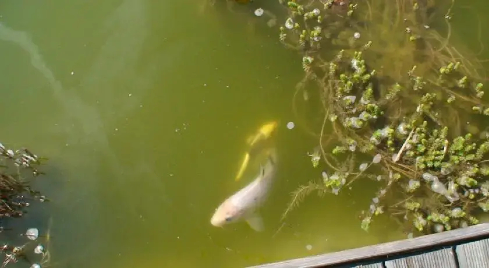 Chambre dhotes le Bouchon Genassien