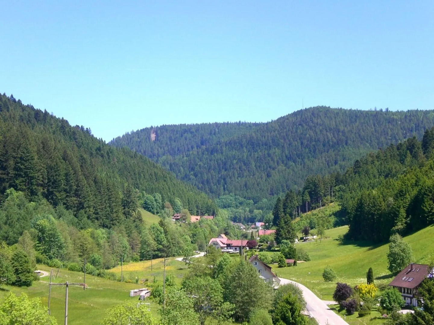 Hideaway Near Black Forest