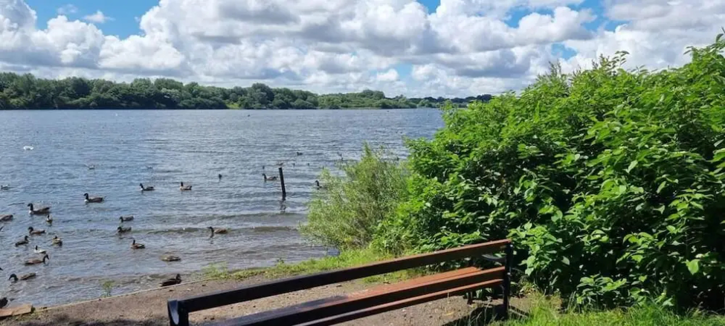 The Pennington Apartment Leigh