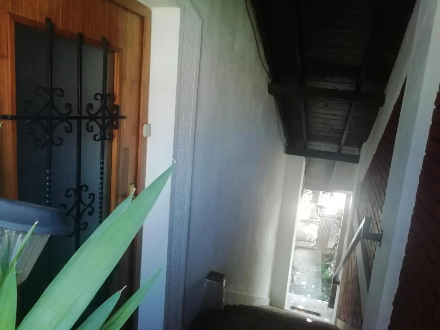 Pine Apartment