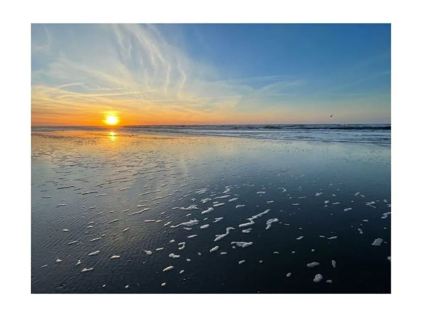 Reethuus Nord Modern Retreat