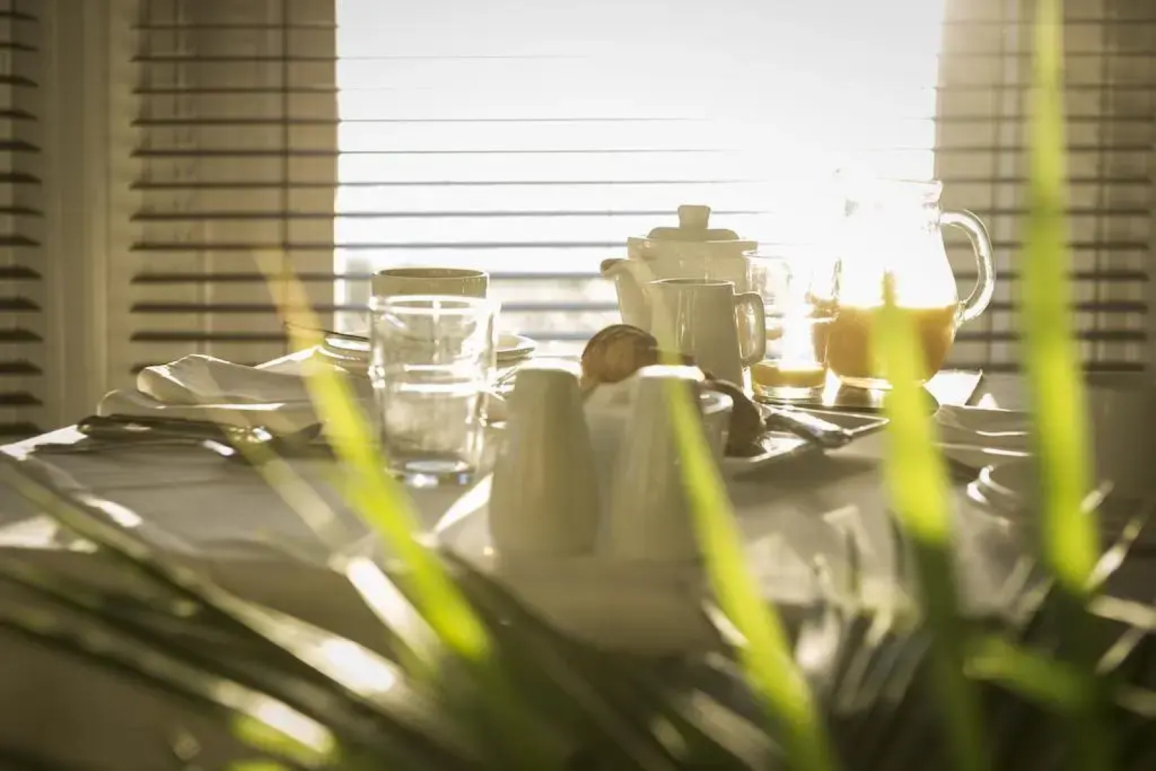 The Windsor Carlton - Guest Accommodation