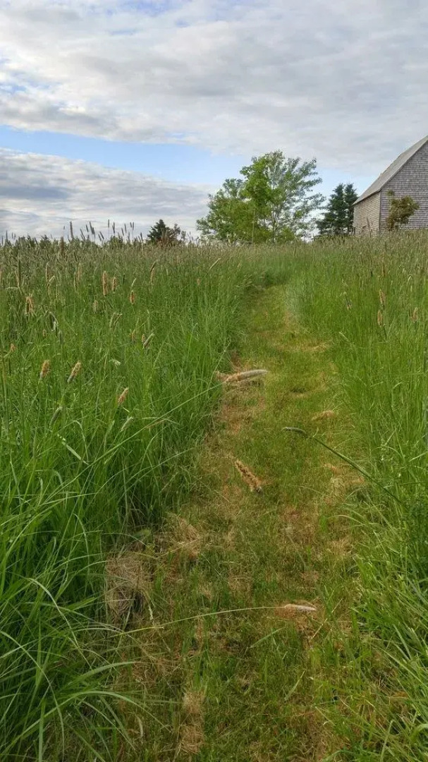 Windsbreath Celebrations and Retreats