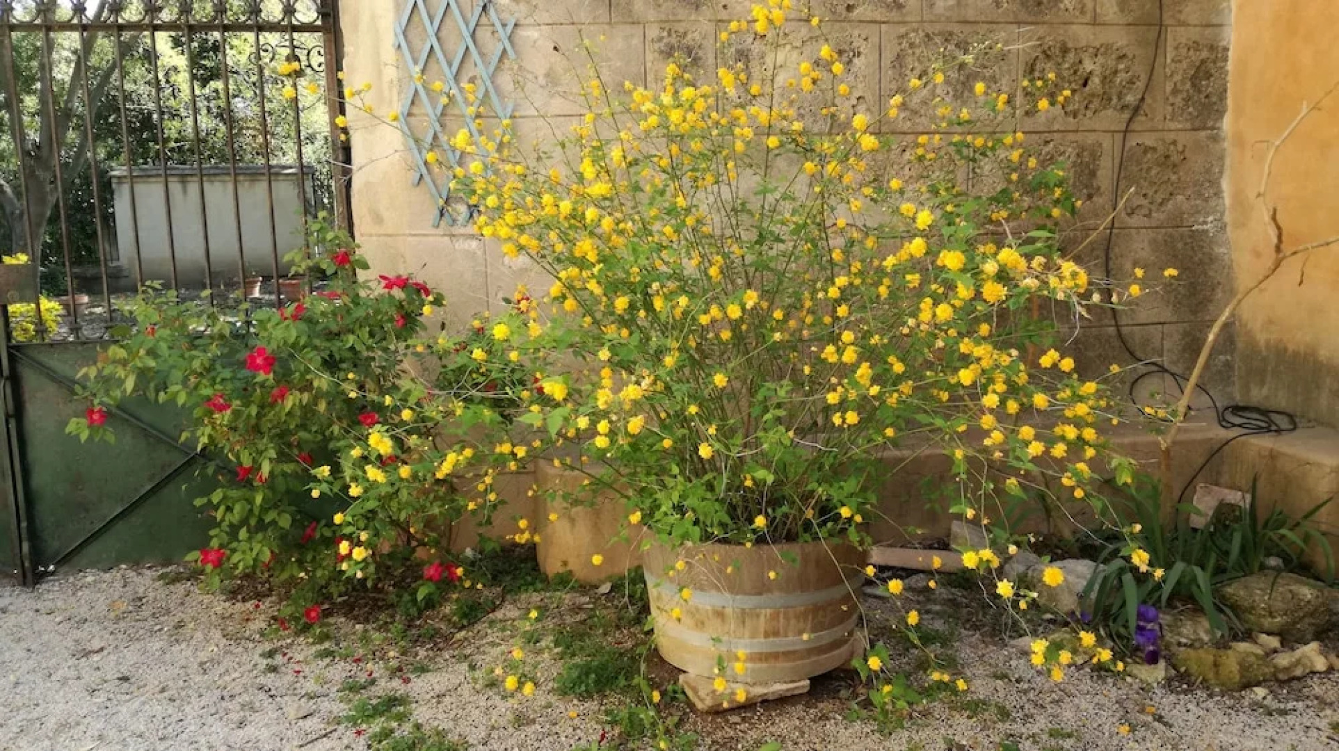 Commanderie Templière de Launac-Le-Vieux