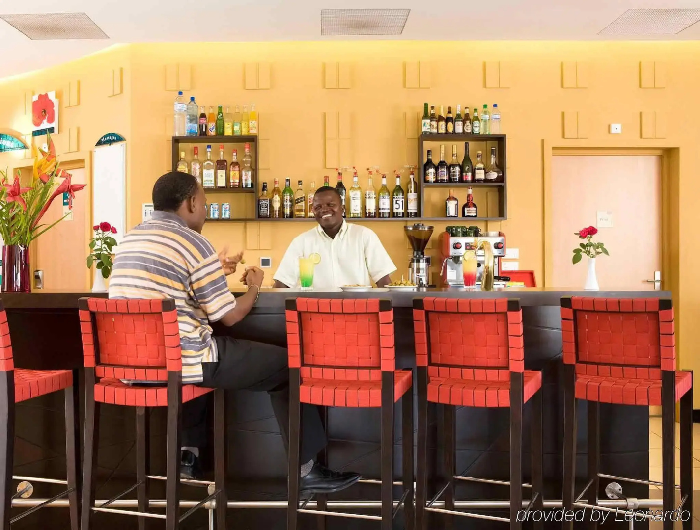 ibis Cotonou