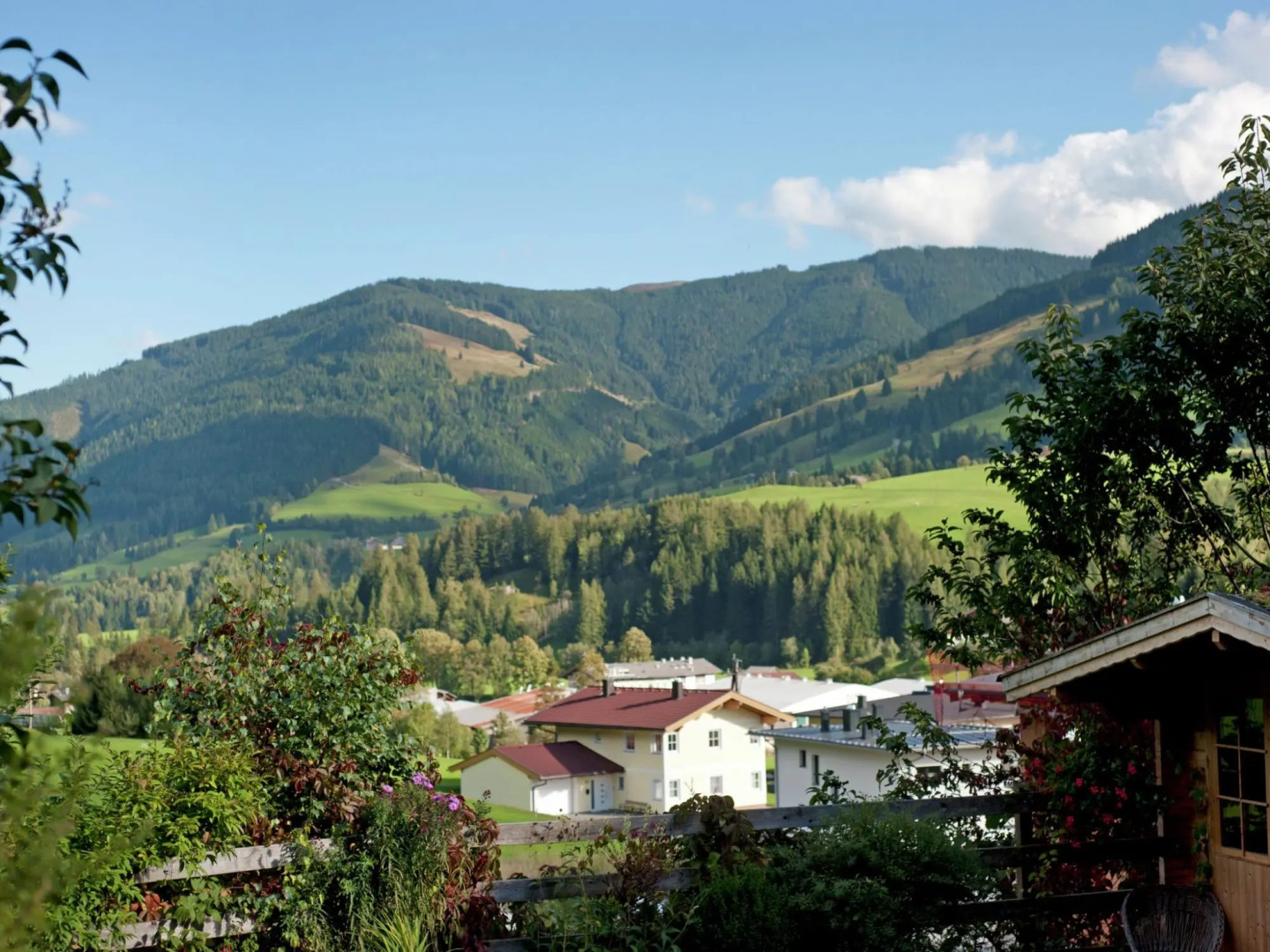 Animal -friendly Apartment in Leogang