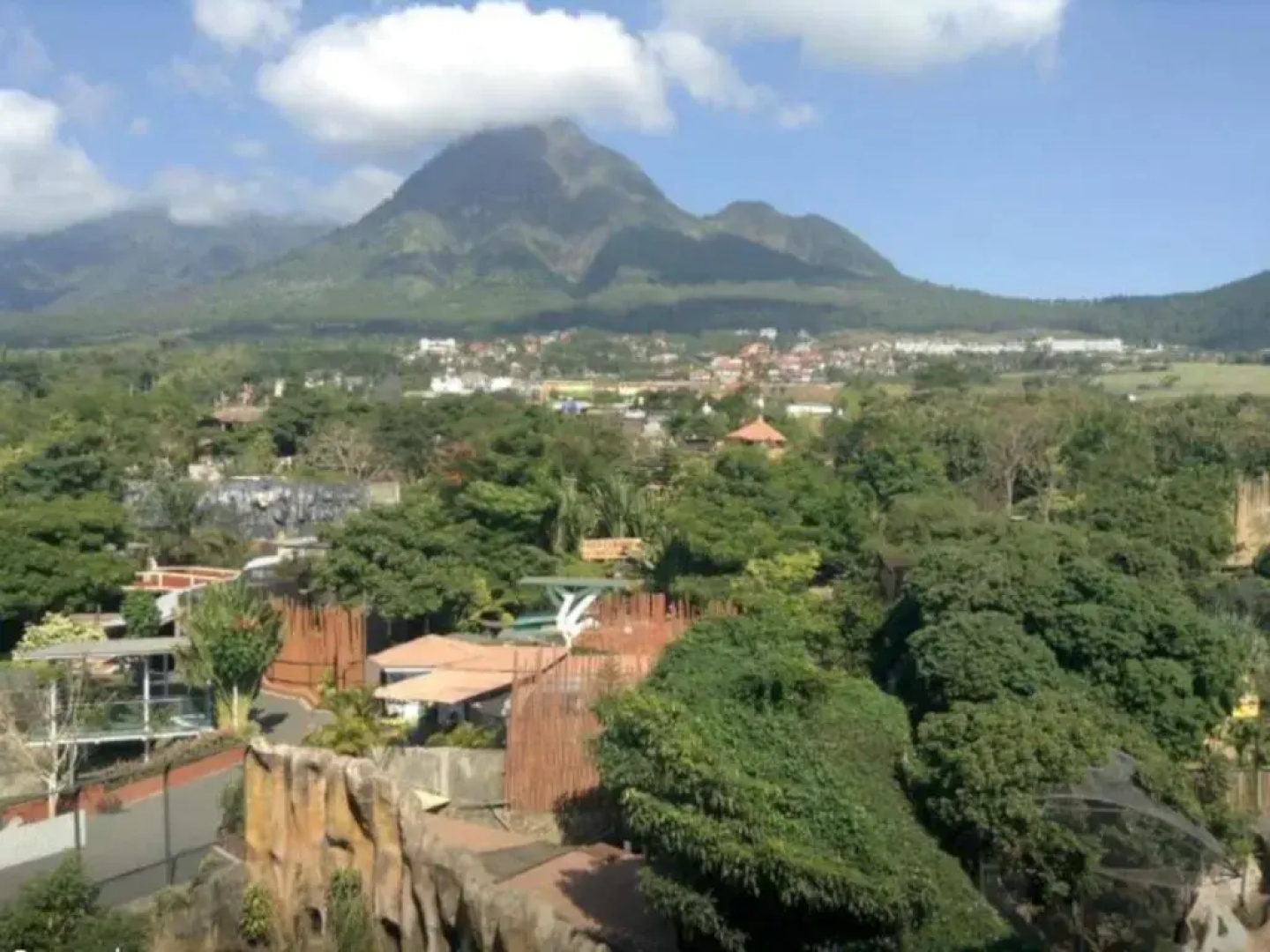 Pohon Inn Hotel