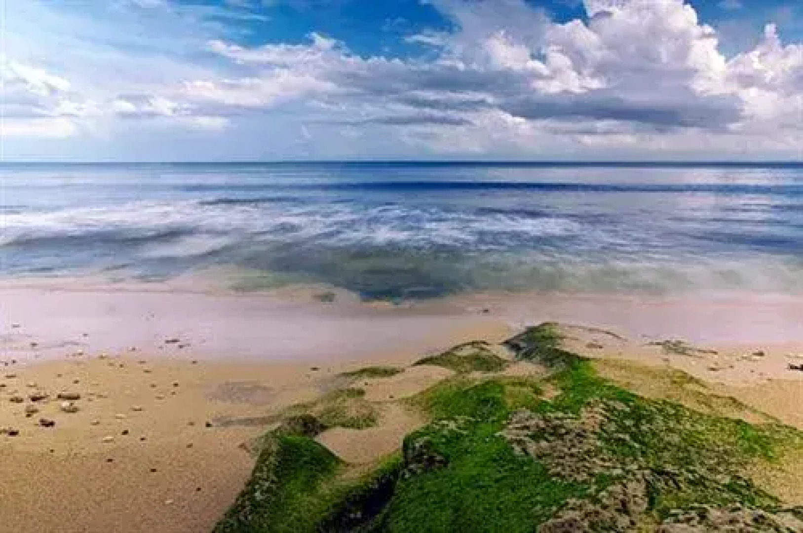 Flower Bud Bungalows