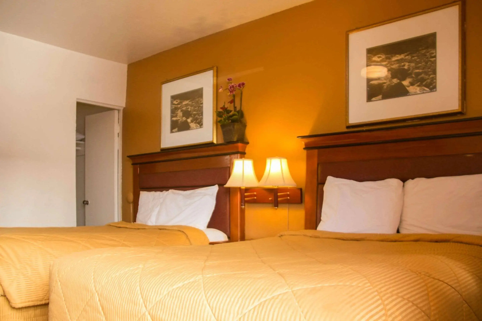 Rodeway Inn Flagstaff - Downtown