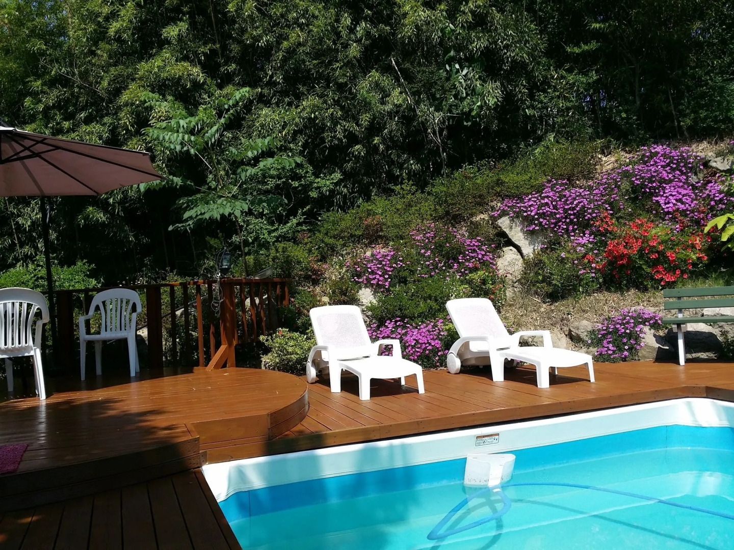 Bellus Rose Pension Hotel