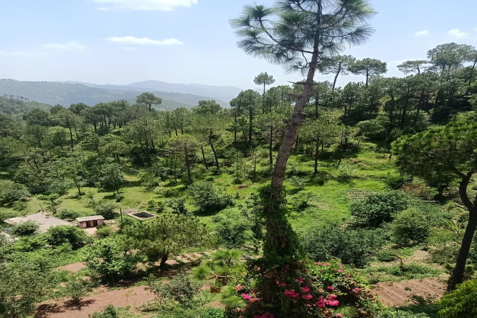 OYO HOME 84599 Satyam Home Stay