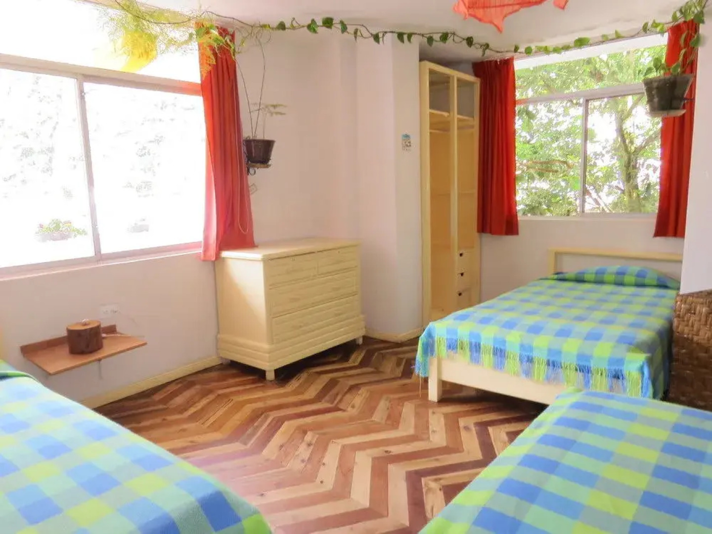 Hostal Plantas  Y Blanco