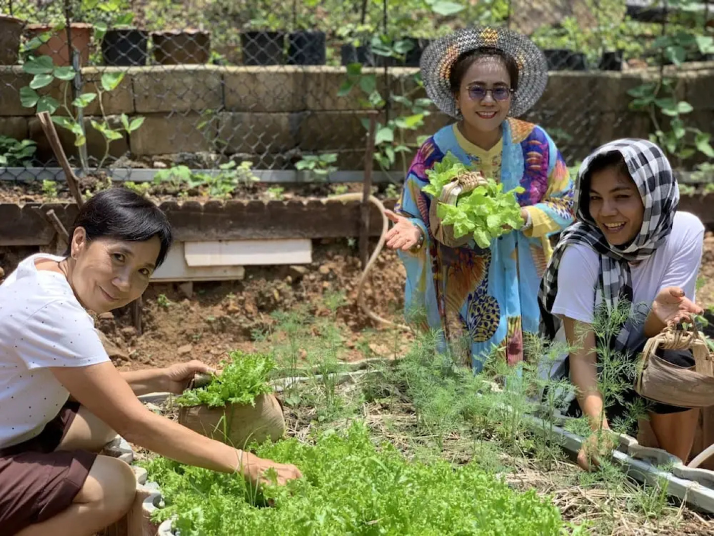 Kohjum Sea Beach Resort