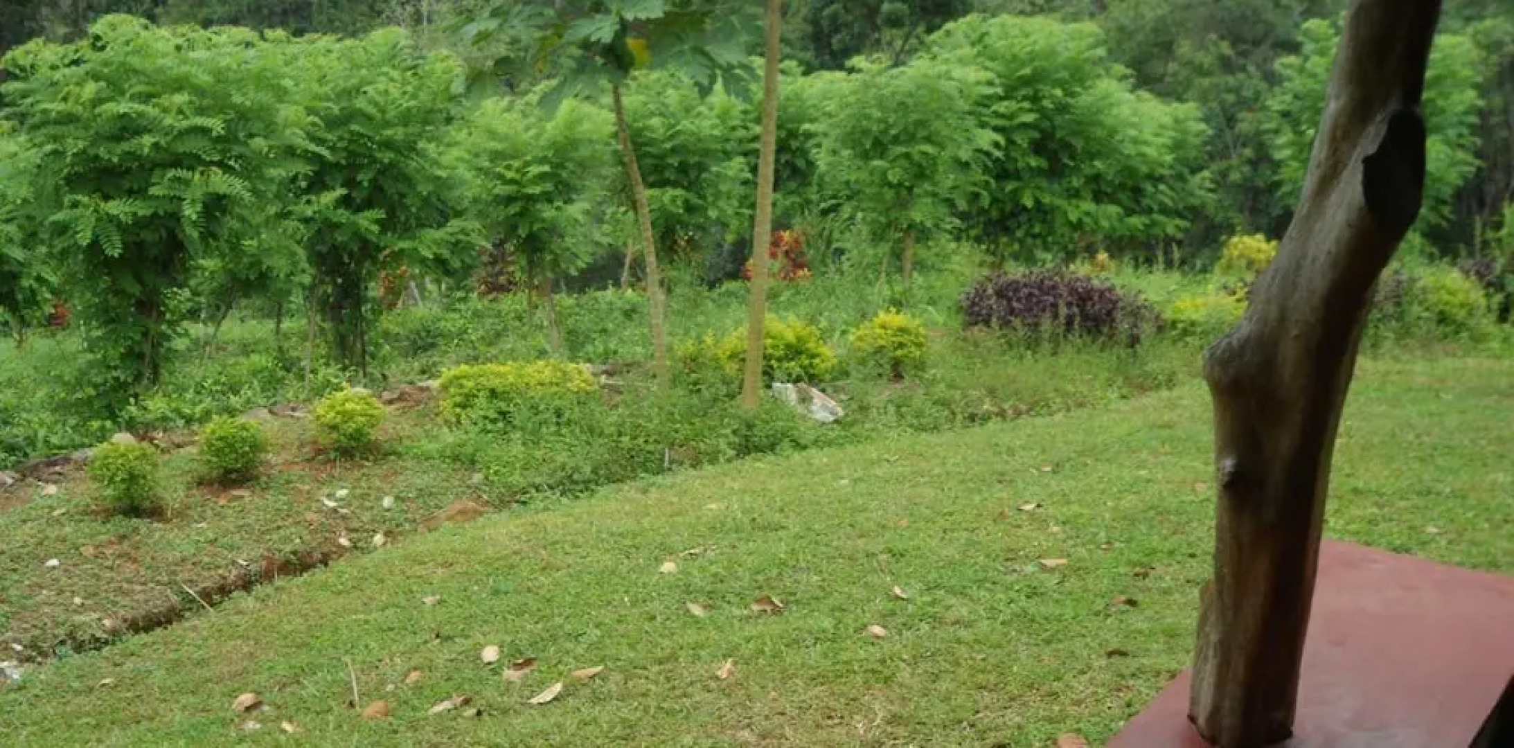 Yoho Rain Forest Eco Lodge