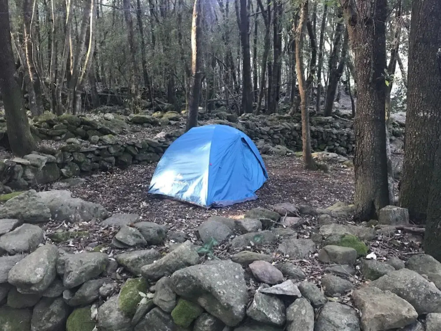 Chambres dHotes U Licetu