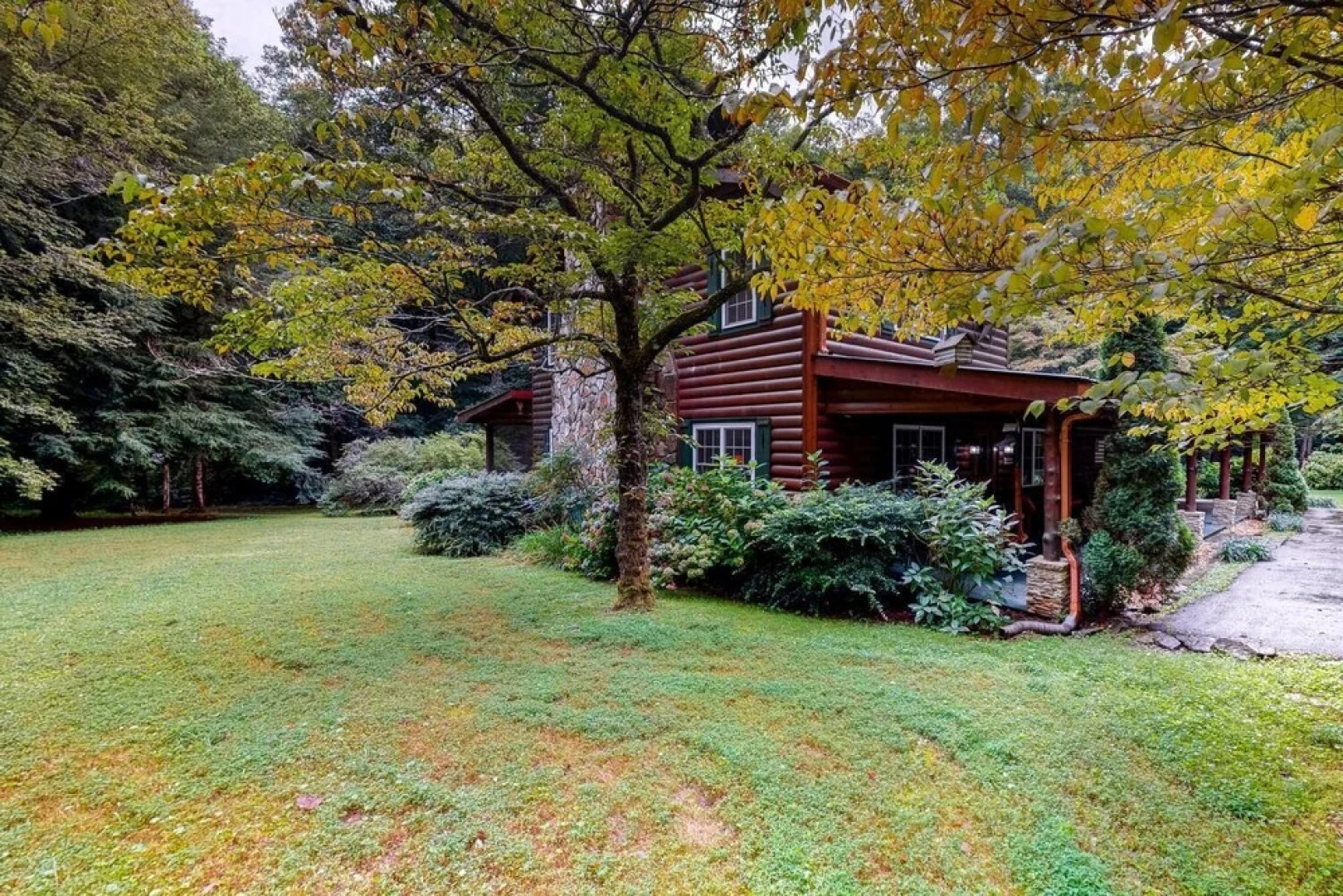 Cowboy Cabin on Stanley Creek