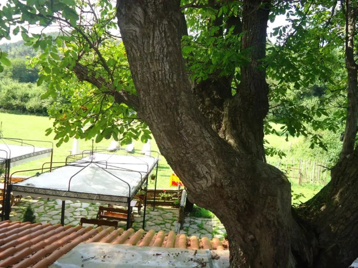 Complex Praveshki Hanove