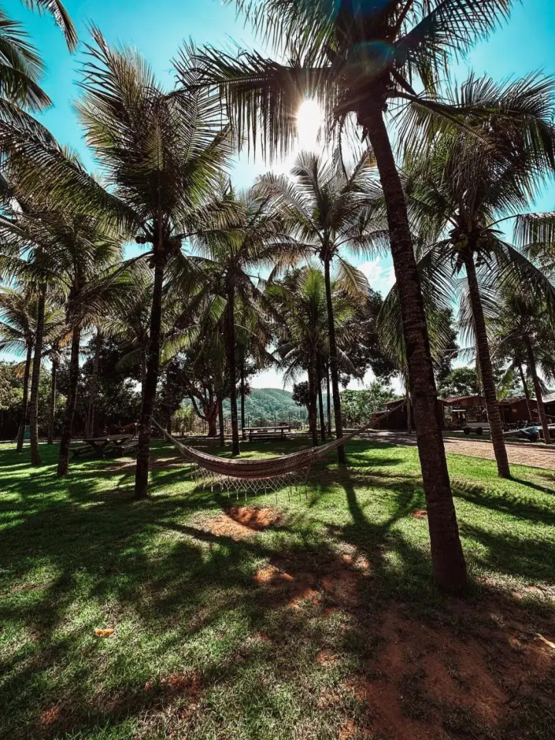 Village dos Pássaros