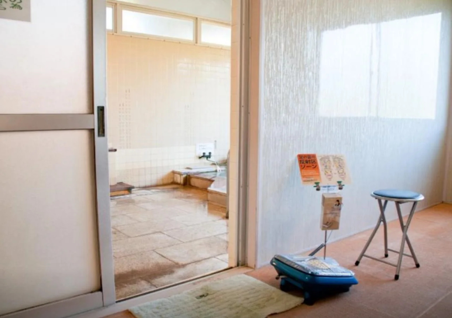 Hakone Gora Onsen Suirinso