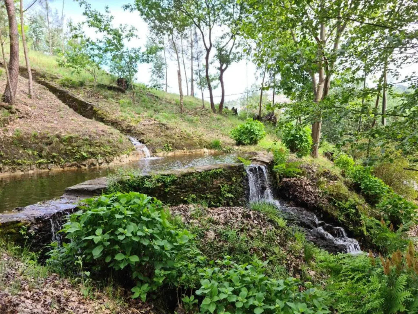 Tapada de São Domingos