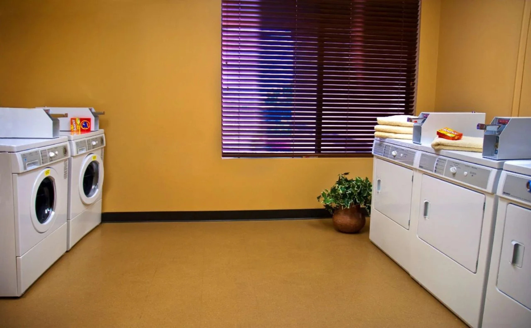 Spark by Hilton Phoenix East Mesa