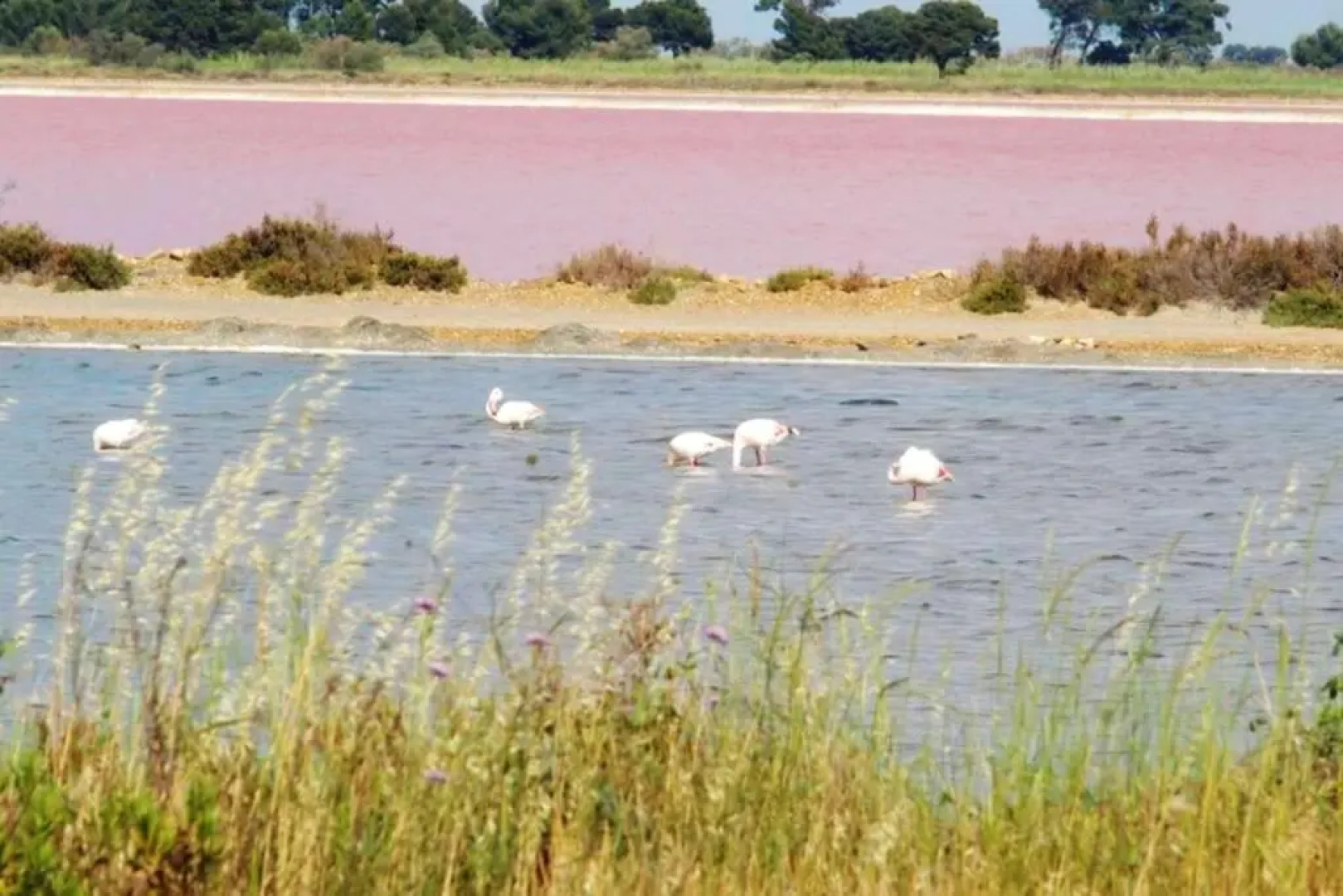 Maison de 2 chambres avec jardin clos et wifi a Marsillargues
