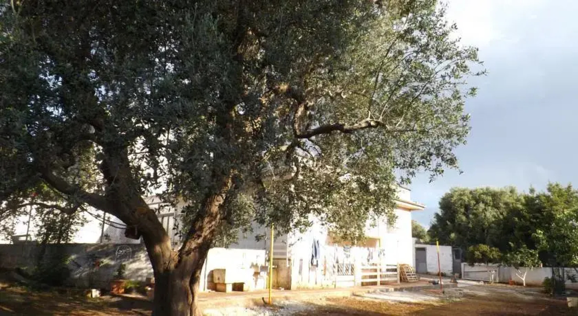 Holiday home Rosaria